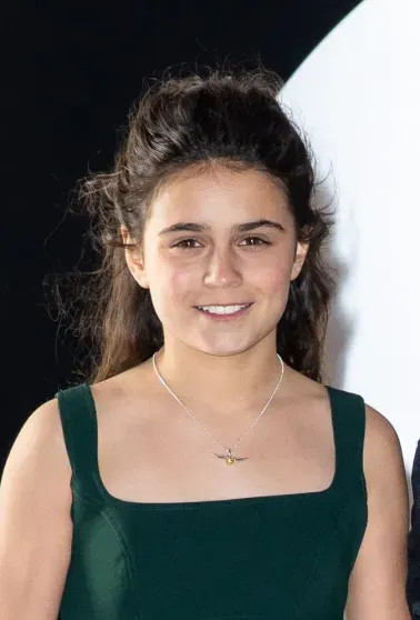 Юные исполнители главных ролей в новом сериале про Гарри Поттера впервые вышли на красную дорожку Гарри, сериала, Поттера, Аластер, Стэнтон, Маклафлин, Доминик, Дэниел, Рэдклифф, пользователи, Эссьеду, который, Надеюсь, первый, Гринт, Уотсон, вместе, ПоттерКадр, оригинального, Руперт