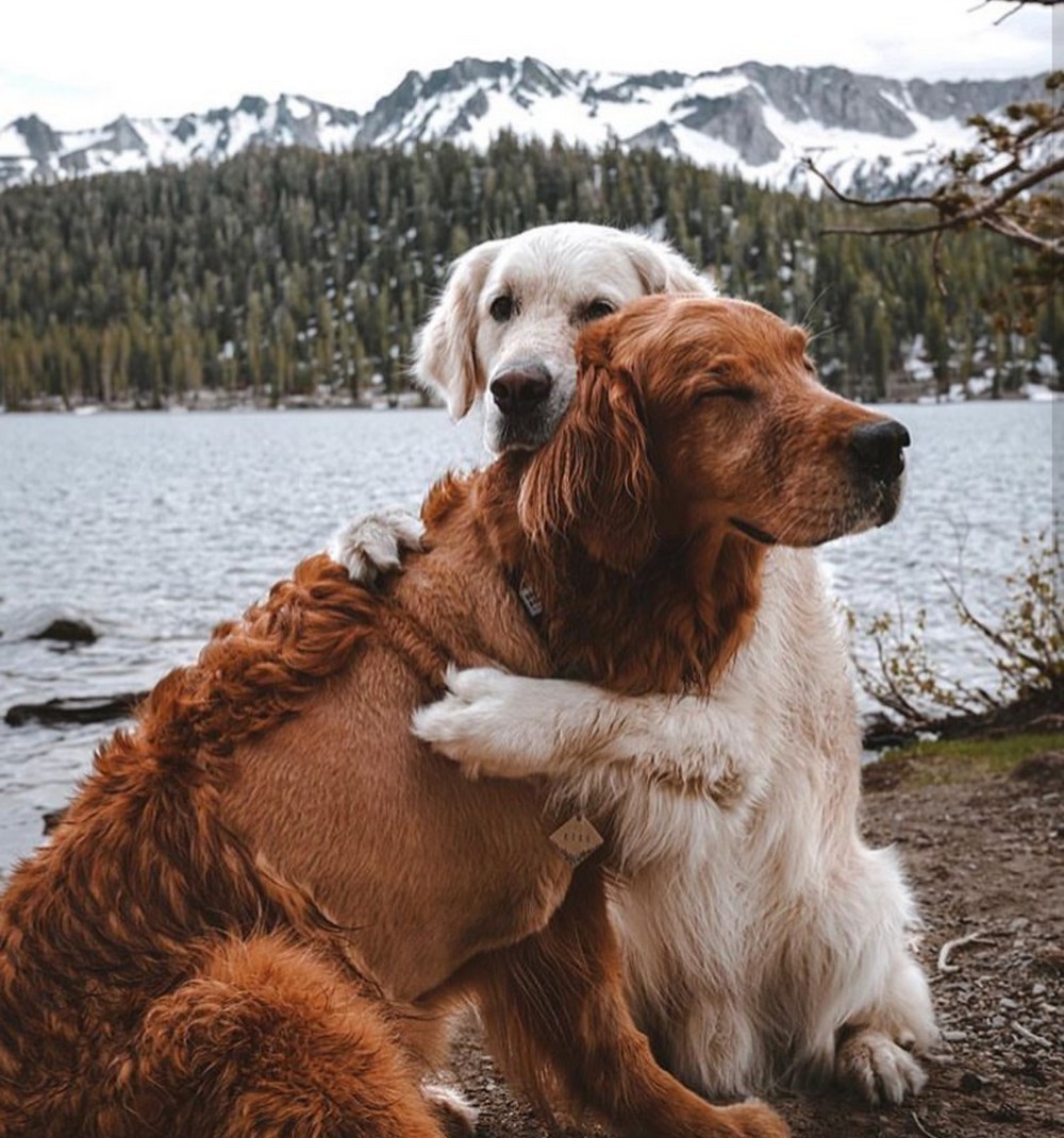 Фотографии, которые говорят больше чем слова! Сегодня, зарядимся, позитивом, интересных, фотографий, которые, говорят, больше, слова 