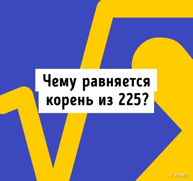 Тест на эрудицию: 13 вопросов, которые покажут, не пора ли вам обратно в школу