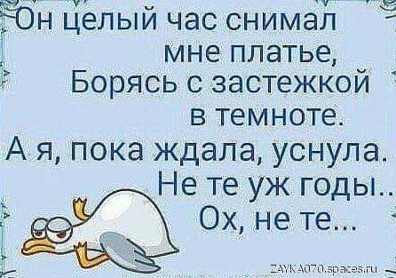 - Милая, чем это от тебя так замечательно пахнет?... Весёлые