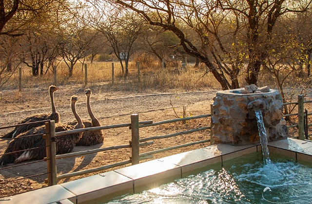 Марлот-Парк: самый дикий город