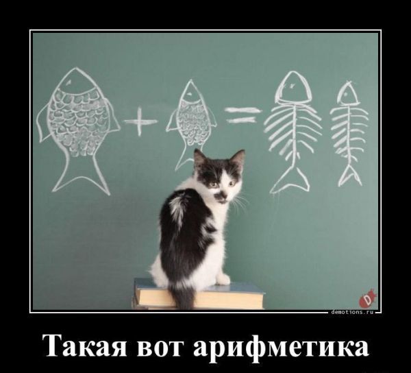 Подборка смешных и забавных демотиваторов для улыбки Подборка смешных и забавных демотиваторов для улыбки Смешные демотиваторы