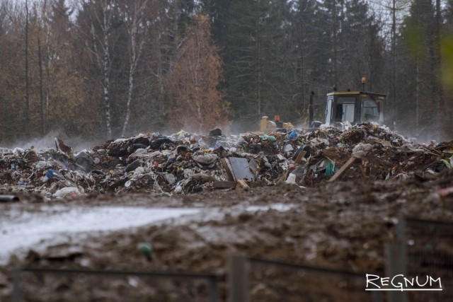 Это мусорная сортировка, расположенная в нескольких десятках метров от первого дома деревни Ядрово