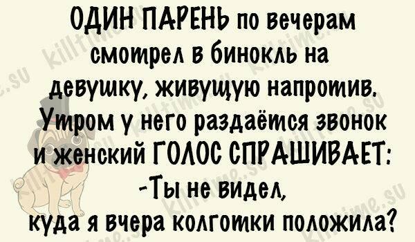 Большую часть своей жизни минтай проводит в свежемороженном виде анекдоты,демотиваторы,приколы,юмор