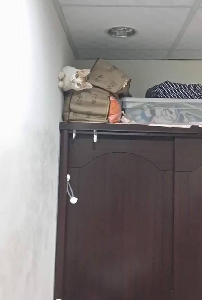 Подборка прикольных картинок  приколы,смешные картинки,юмор