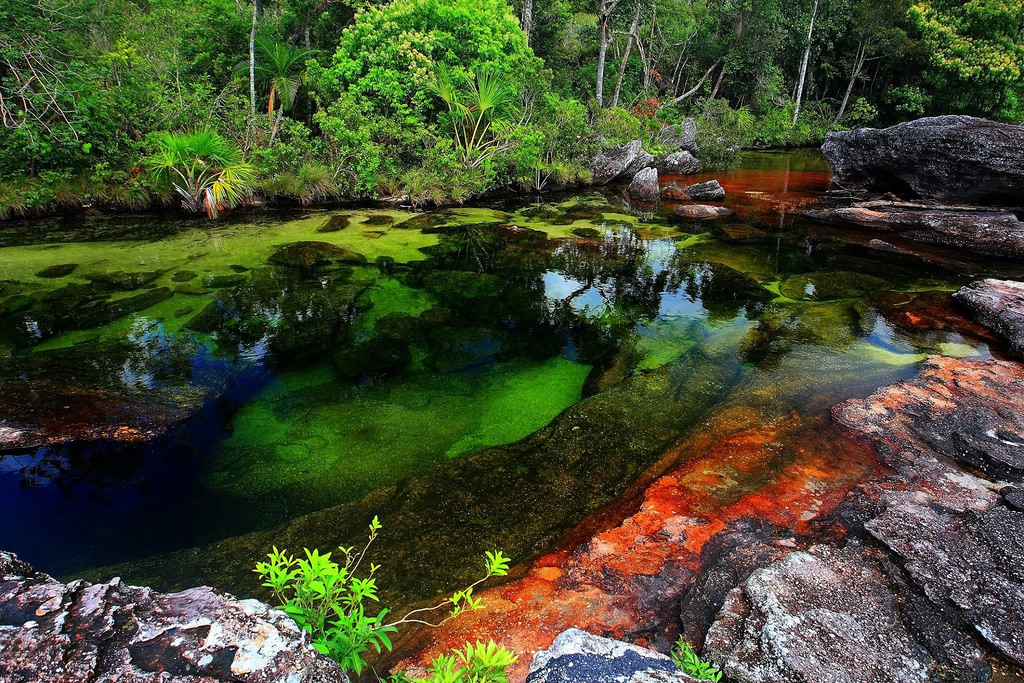 Caño Cristales, Colombia