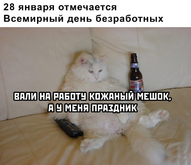 Подборка прикольных картинок 