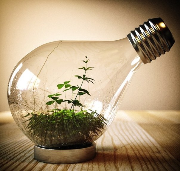 Идеи использования перегоревших лампочек