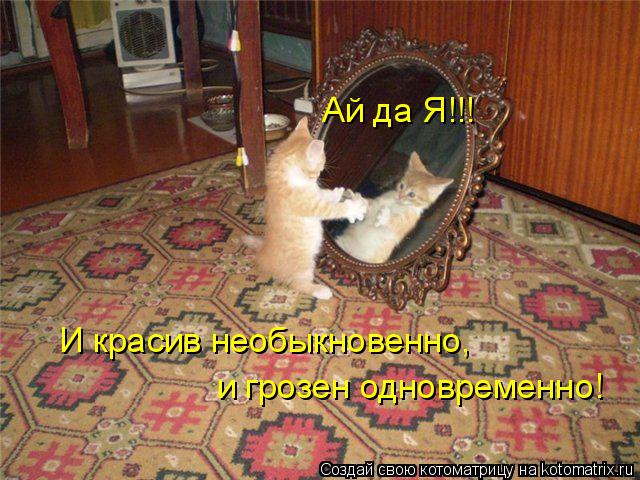 Ай да Я!!! И красив необыкновенно,  и грозен одновременно!