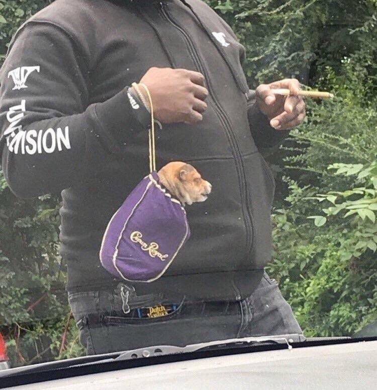 Странное, необычное и смешное... девушки