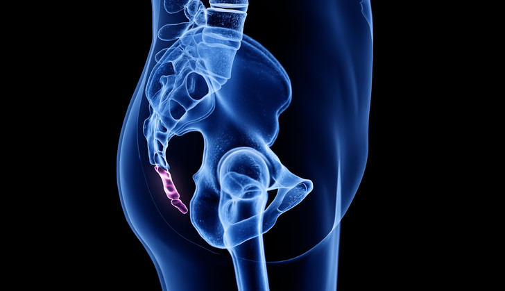 Полезные бесполезные органы: 5 рудиментов человеческого тела анатомия,наука,физиология