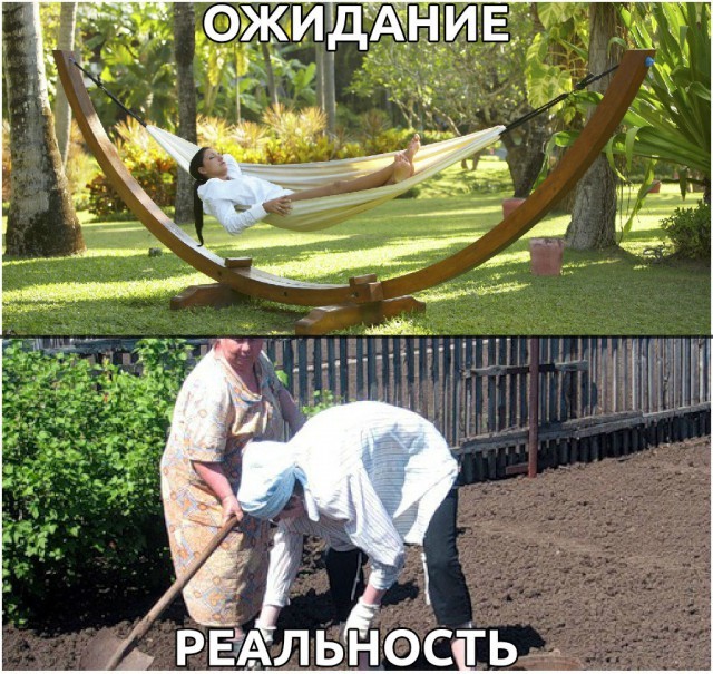 Лето дача, лето. фото, приколы