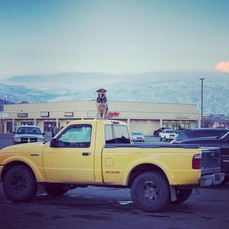 Странное, необычное и смешное... девушки