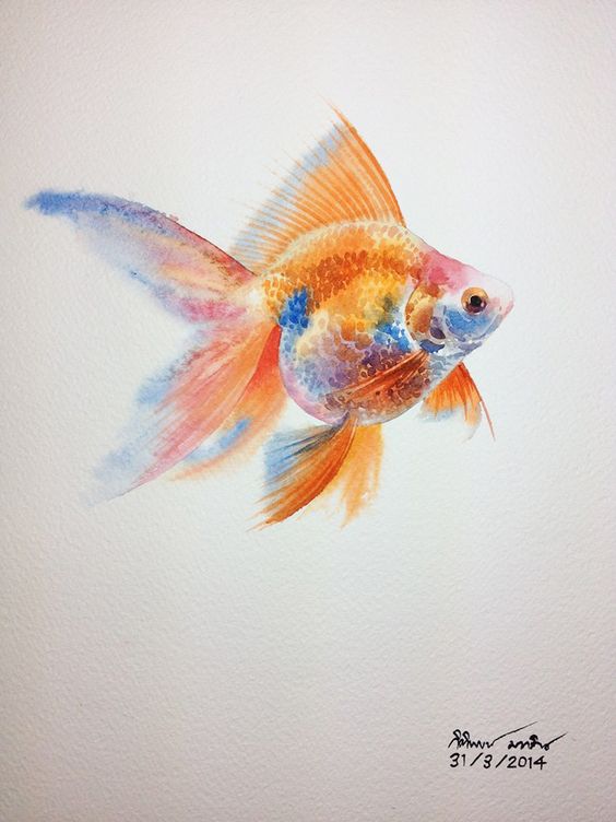 Fish painting