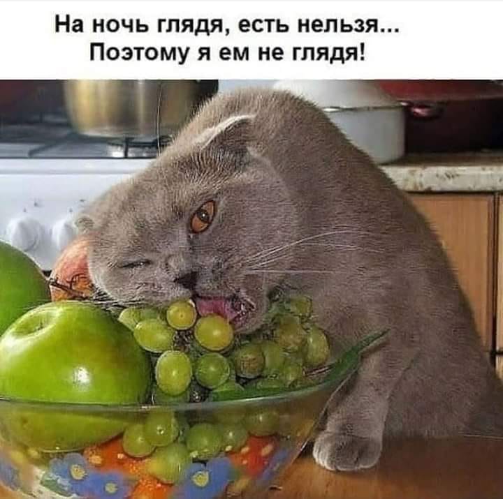 Чтоб посмеяться от души: подборка юмора и всяких забавностей Чтоб посмеяться от души: подборка юмора и всяких забавностей