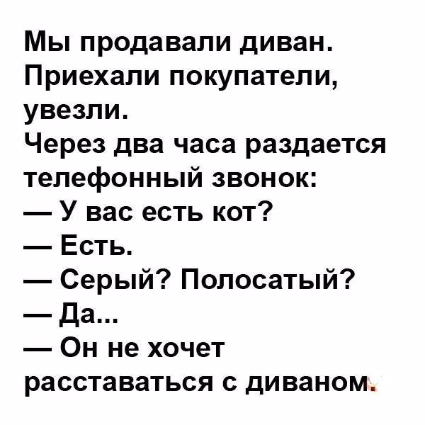 Прикольные и зачетные картинки с надписями до слез из сети 