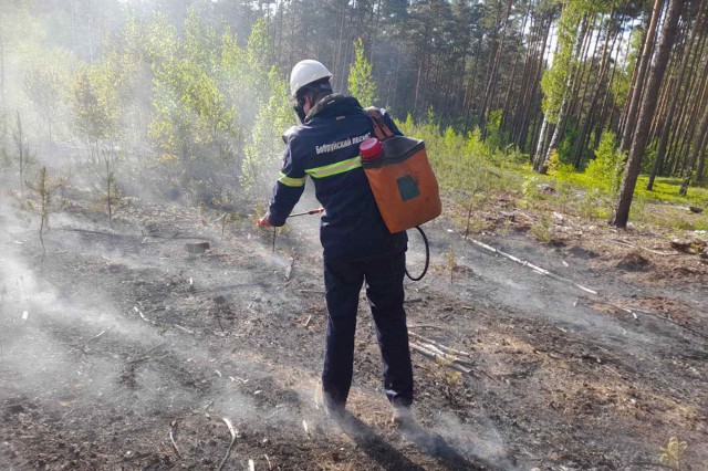 На территории лесного фонда Минлесхоза произошло 2 лесных пожара.
