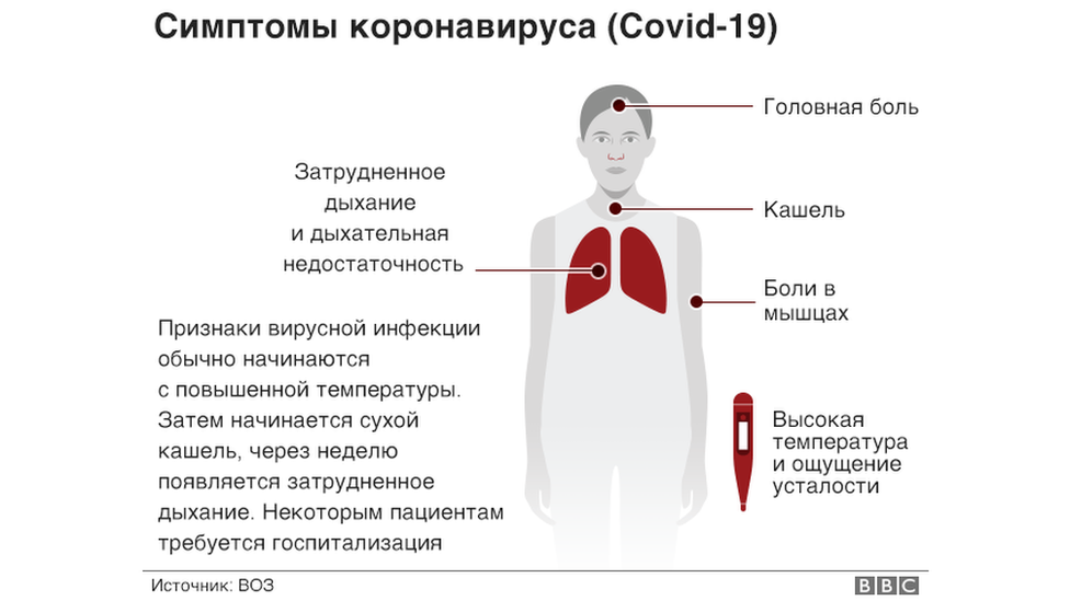 Все о коронавирусе - маленькими порциями вирус, вируса, Covid19, может, коронавируса, SARSCoV2, коронавирус, можно, всего, число, людей, гриппа, заражения, поэтому, вообще, примерно, заразить, других, больных, заболевших