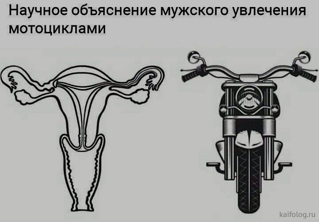 Сегодня – день рождения первого мотоцикла  Марки и модели,мотоциклы,юмор