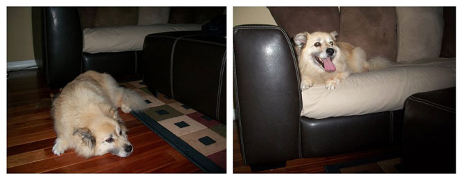 «Жена дома» и «Жена в командировке» «Жена дома» и «Жена в командировке»