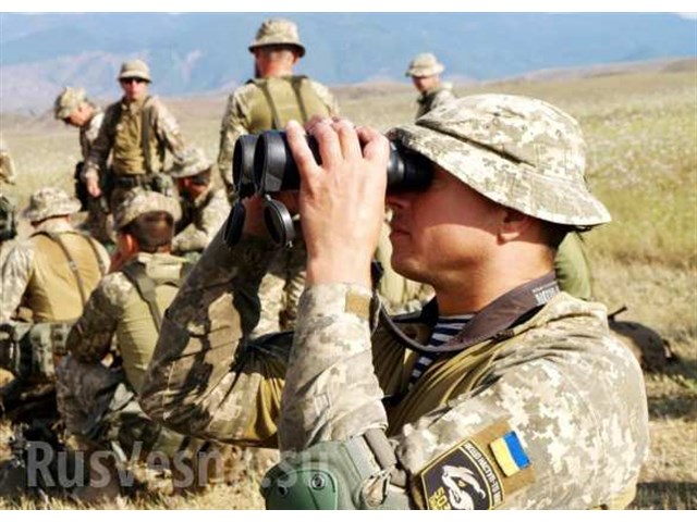 Украинцы и грузины вместе учатся драться с «условным противником» в горной местности геополитика
