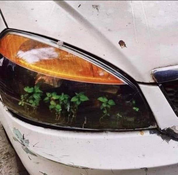 Подборка картинок. Вечерний выпуск  приколы,смешные картинки,юмор