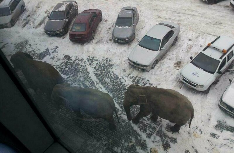 И тут я понял, что мне все равно никто не поверит И тут я понял, что мне все равно никто не поверит