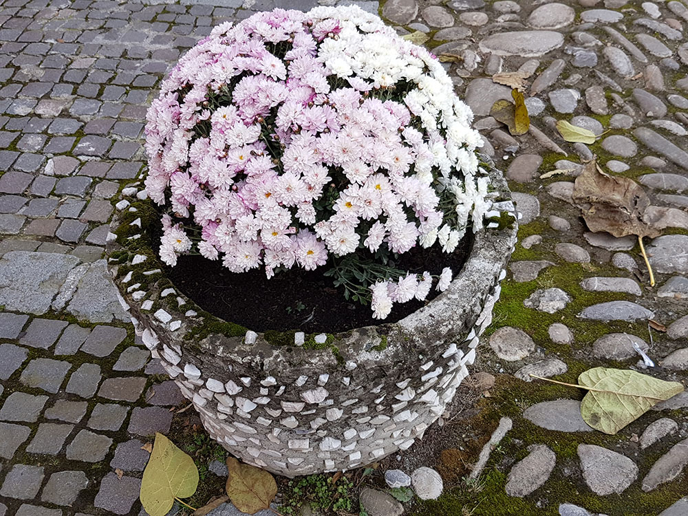 Сигишоара. Самый красивый город в Трансильвании Сигишоара. Самый красивый город в Трансильвании авиатур,автотуризм,виза,гид,города,заграница,мир,отдых,отпуск,поездка,путешествие,Румыния,самостоятельные путешествия,страны,тур,туризм,турист,экскурсионный тур