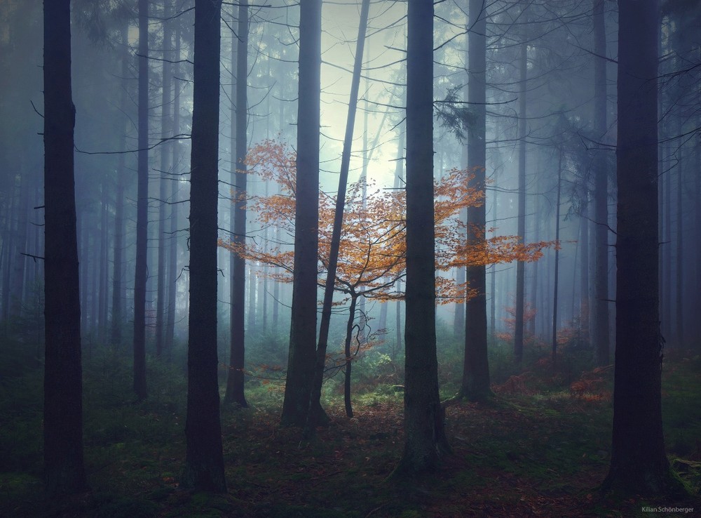Фотография: 22 удивительных пейзажа, вдохновленных сказками братьев Гримм №12 - BigPicture.ru