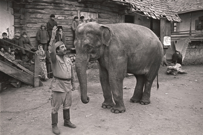 Солдат и слон, кадр из фильма