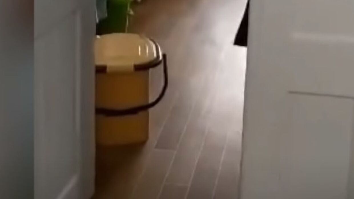 стоячий писсуар для женщин. сельский унитаз. пластмассовое ведро в светофоре. мусорное ведро в туалет на стену. ведро-туалет 24л зеленое.