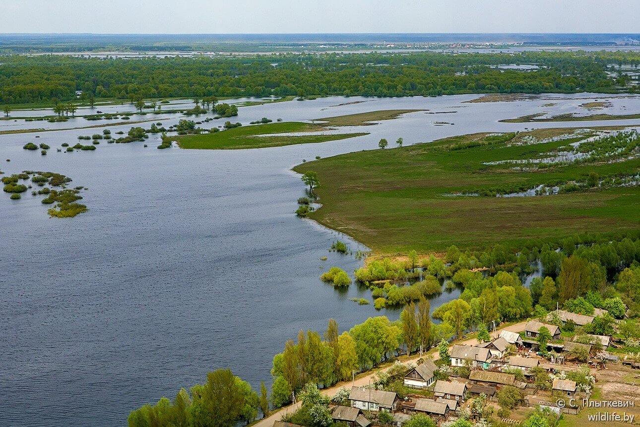 Белорусская «Амазония» удивила иностранцев заграница,путешествие,туризм