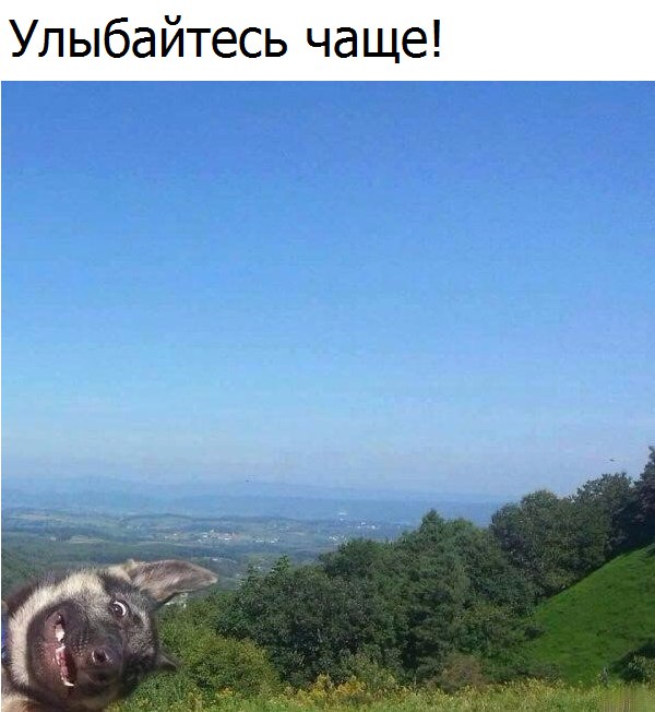Замечательные картинки с надписями для улыбок (12 фото)