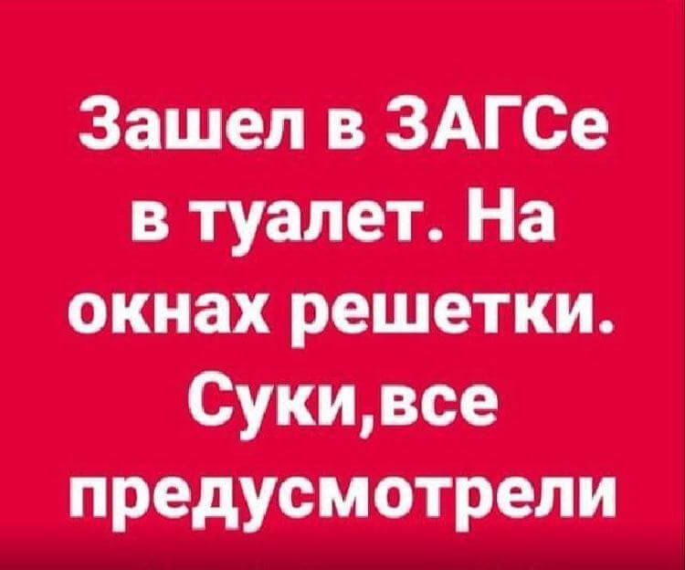 Анекдоты про ЗАГС 