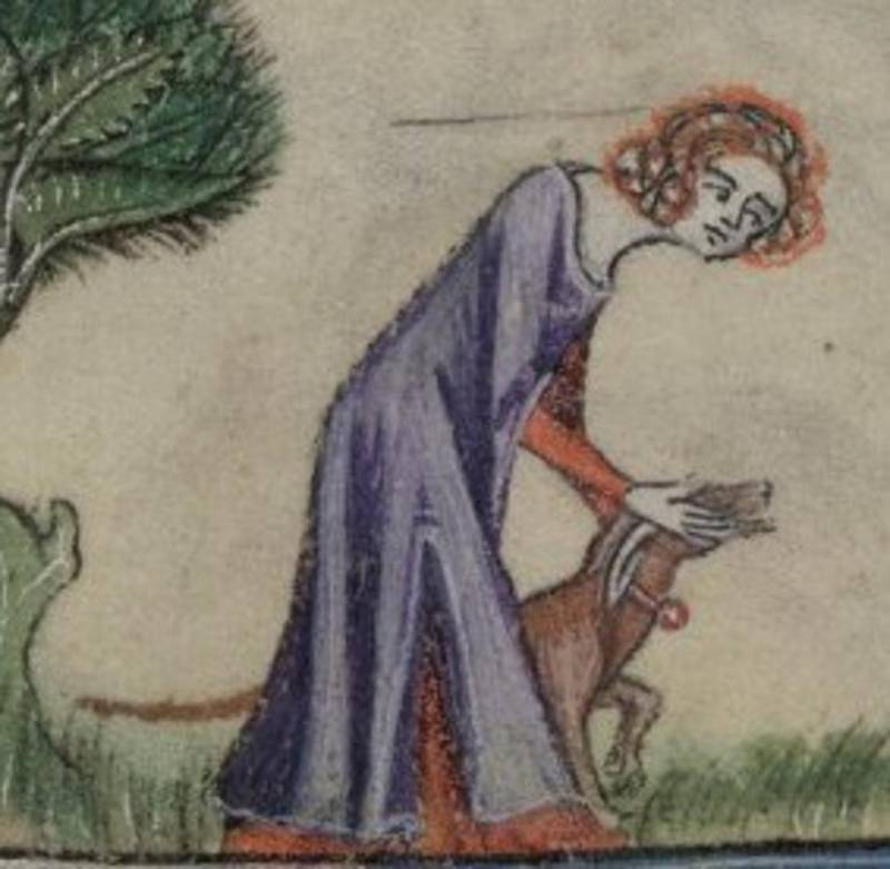 Иллюстрированная повесть об охоте знатных дам из средневекового замка Иллюстрированная повесть об охоте знатных дам из средневекового замка история