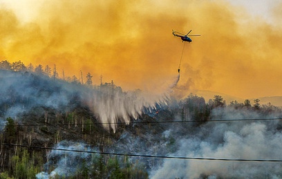 Природные пожары тушат в 17 регионах России