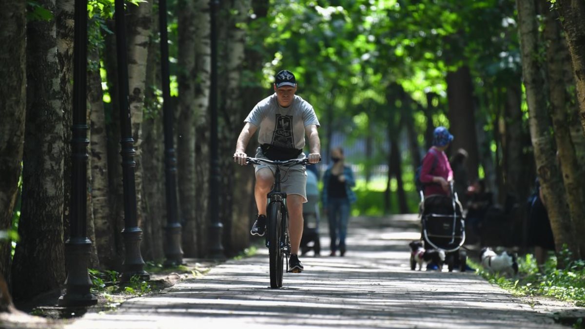 В Москве 3 июля ожидается +29°С