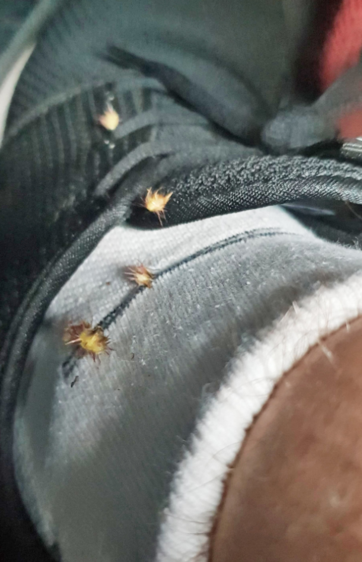 20 фото, на которых запечатлена боль вселенских масштабов 