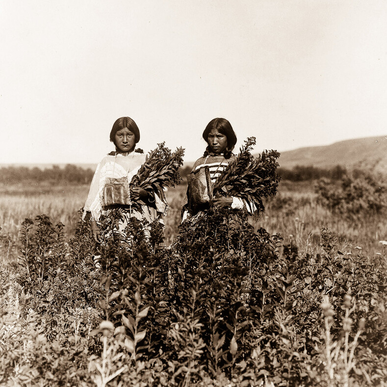 Это интересно: Индейцы Дикого Запада: 12 удивительнейших фото 