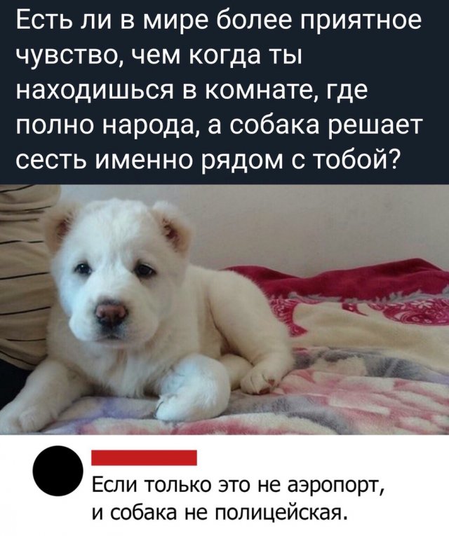 Посмеялся сам - поделись с другом!!!