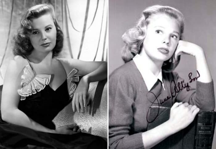 Констанция в мировом кино: Кого из актрис называют самой очаровательной спутницей Д’Артаньяна история кино,киноактеры,моровой кинематограф