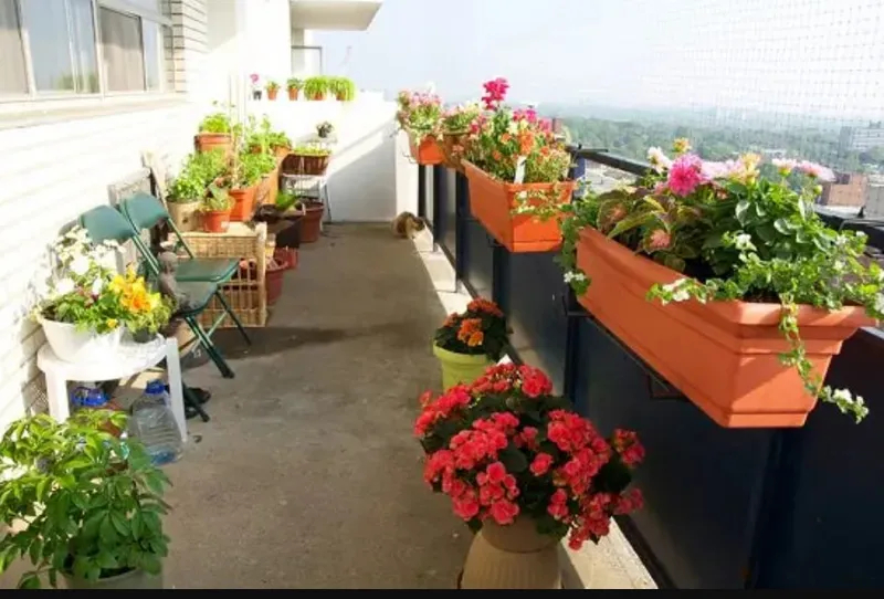Оптимальный вариант для небольшого балкона: размещение растений на перилах в специальных подвесных горшках Оптимальный вариант для небольшого балкона: размещение растений на перилах в специальных подвесных горшках для дома и дачи,идеи и вдохновение
