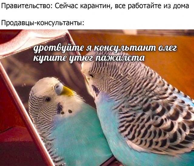 Юмор, юмор, юмор...