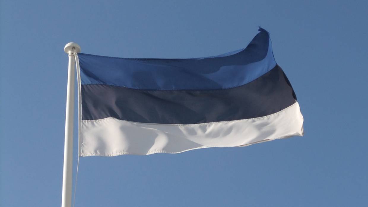 Не по своей воле: зачем Эстония призывает Германию помочь Украине 