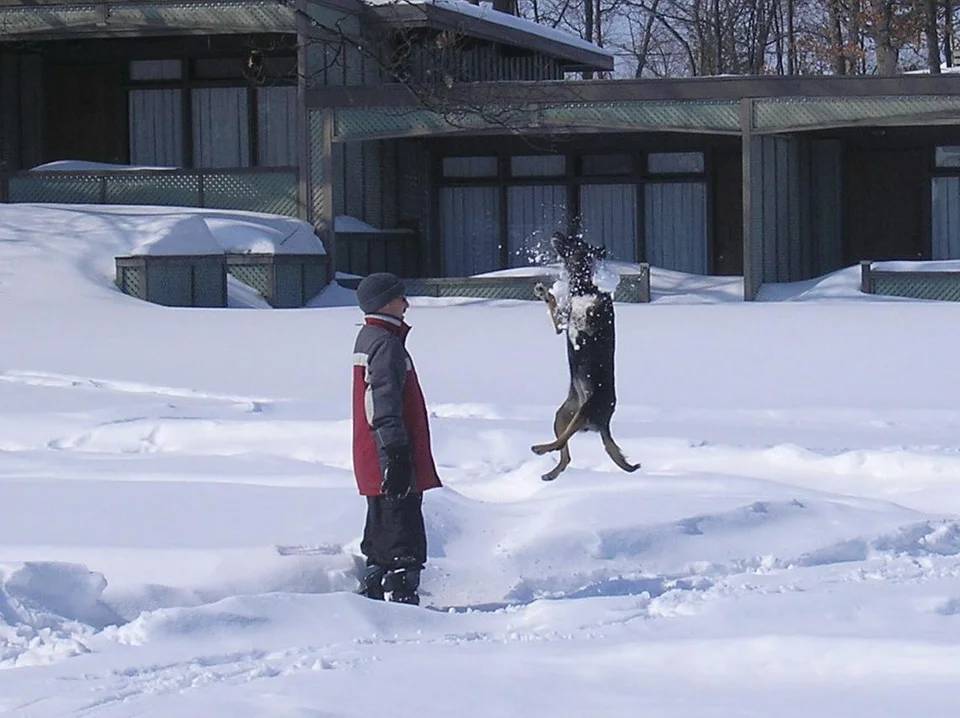 Странное, необычное и смешное... девушки
