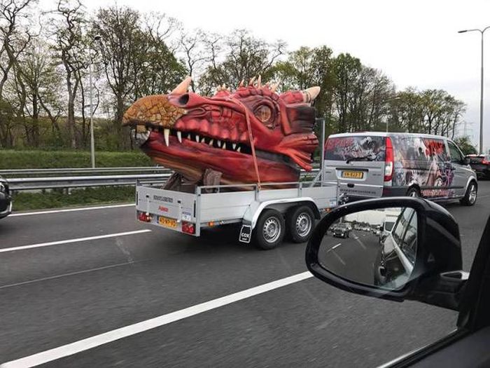 Подборка картинок. Вечерний выпуск (58 фото)