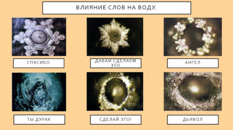 Как влияют слова на жизнь человека. Влияние слов на воду. Влияние слов. Влияние слова спасибо на воду. Влияние слов на структуру воды.