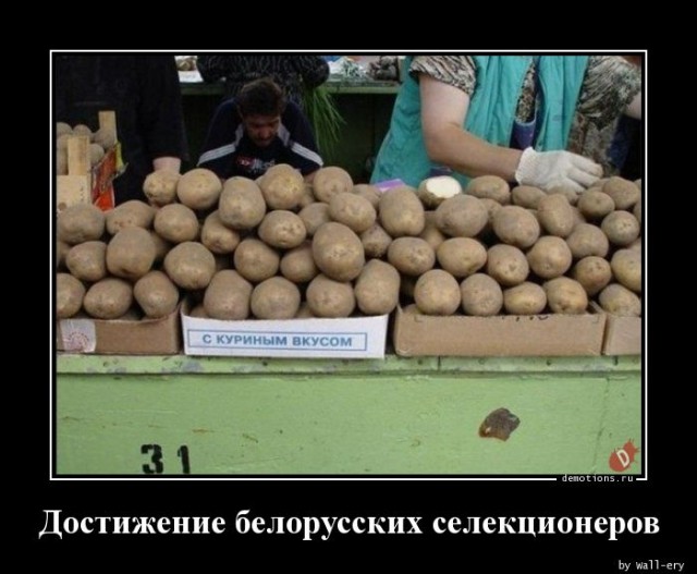 Демотиваторы в конце недели: «Фотография жены в бумажнике…»  