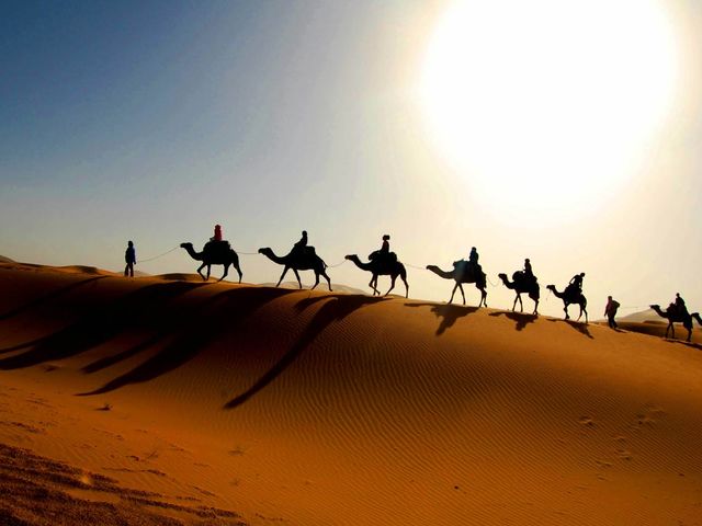 Сахара является самой большой пустыней на Земле и покрывает 1/3 часть Африки.