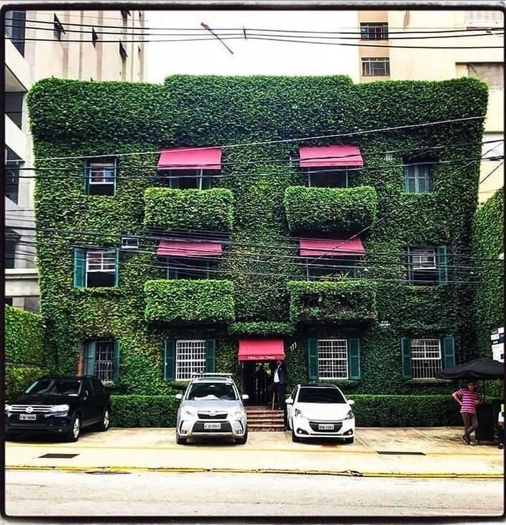 Вот так засосало... О домах, поглощённых плющом 